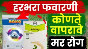 शेतकऱ्यांसाठी हरभऱ्यातील मर रोगासाठी ‘रोको’ आणि ‘एलियेट’ या दोन्ही बुरशीनाशकांबद्दल संपूर्ण माहिती!