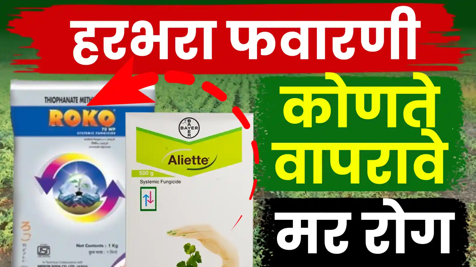 शेतकऱ्यांसाठी हरभऱ्यातील मर रोगासाठी 'रोको' आणि 'एलियेट'